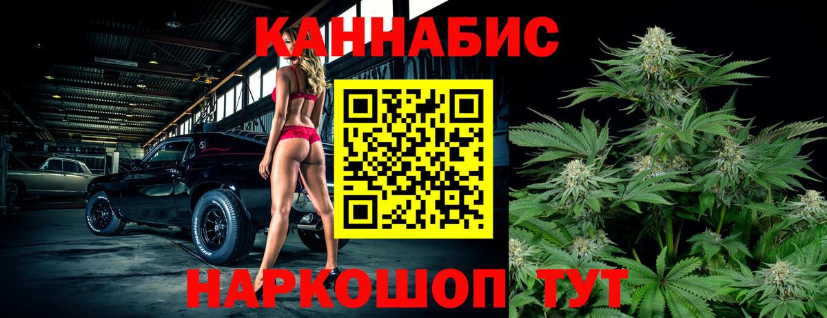 Конопля семена Лесной